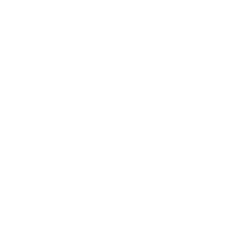Sunshine Helicopters